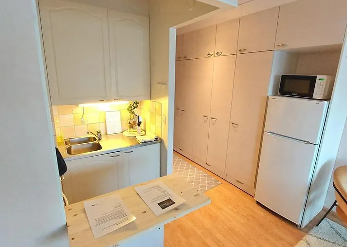 Appartement Cozy Studio, Free Parking, Near Center, Wifi, Smart Tv Pori
